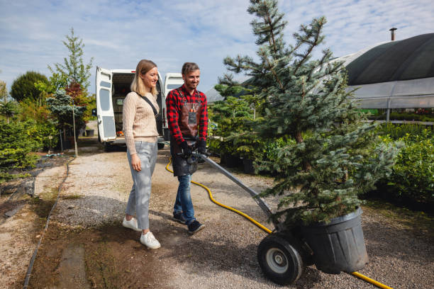 Best Tree Trimming and Pruning  in Mattydale, NY